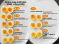 Guida alla cottura delle uova sode: scopri la consistenza ideale per tuorlo liquido, morbido, medio o sodo.