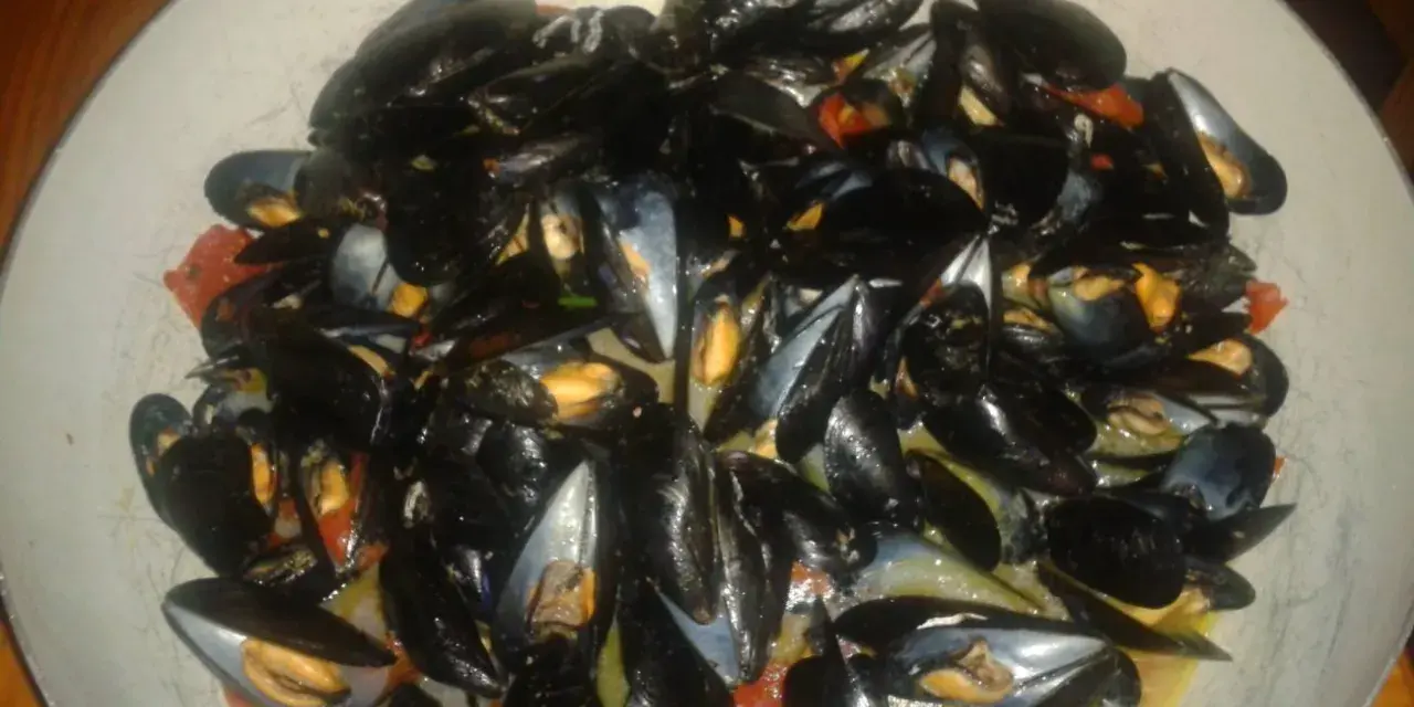 Un'abbondante impepata di cozze in un piatto largo, con pomodorini e un sughetto invitante.