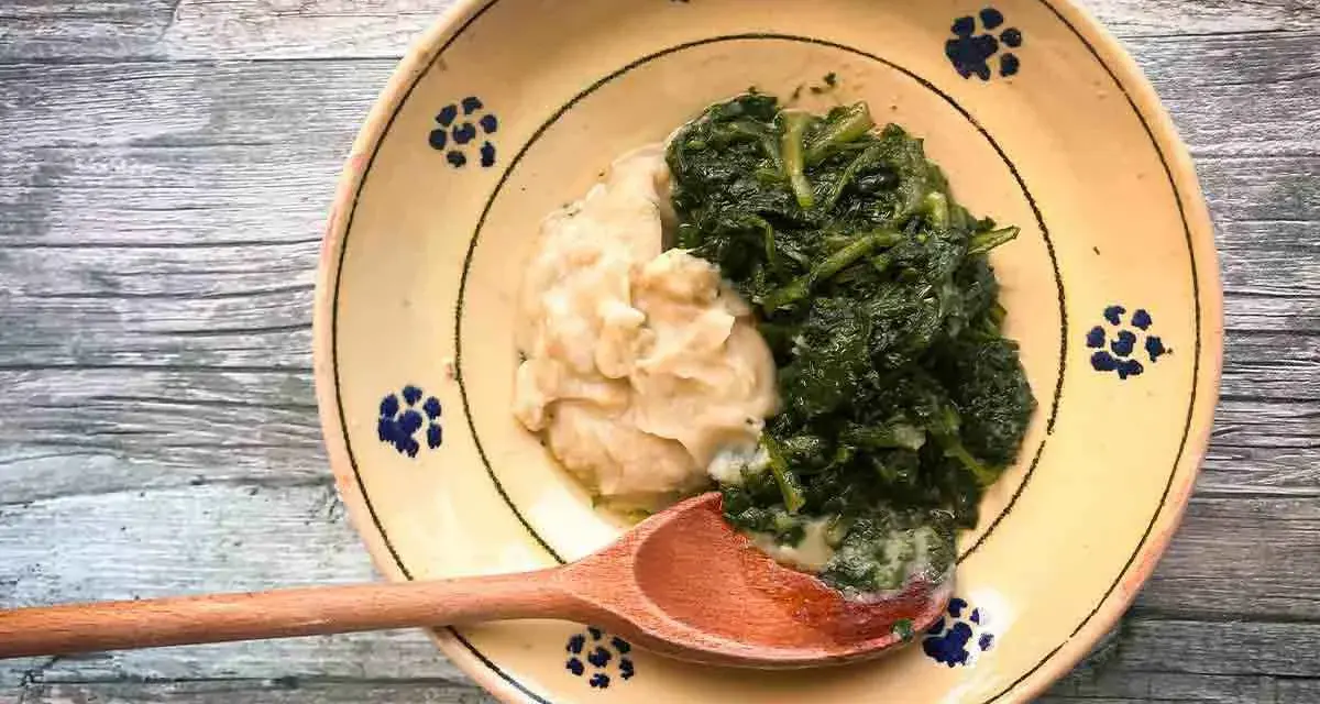 Piatto tradizionale con fave e cicoria, un classico della cucina povera. La cicoria verde brillante contrasta con la purea chiara di fave.