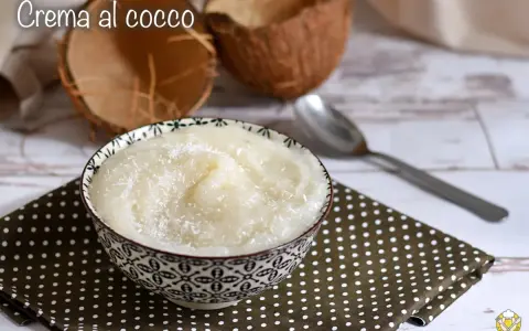 Una ciotola di cremosa crema al cocco, cosparsa di cocco grattugiato, accanto a gusci di cocco e un cucchiaio.