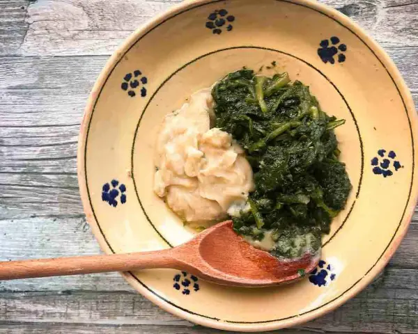 Piatto tradizionale con fave e cicoria, un classico della cucina povera. La cicoria verde brillante contrasta con la purea chiara di fave.