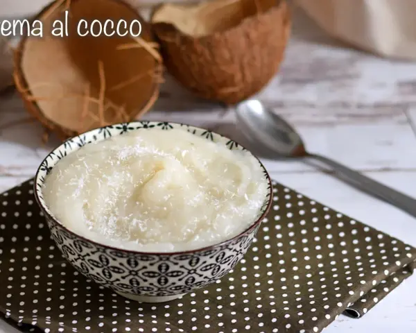 Una ciotola di cremosa crema al cocco, cosparsa di cocco grattugiato, accanto a gusci di cocco e un cucchiaio.