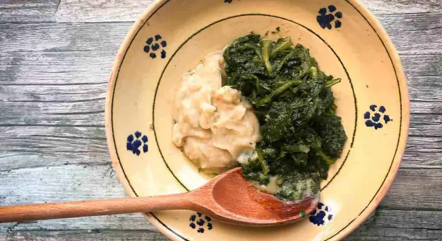 Piatto tradizionale con fave e cicoria, un classico della cucina povera. La cicoria verde brillante contrasta con la purea chiara di fave.