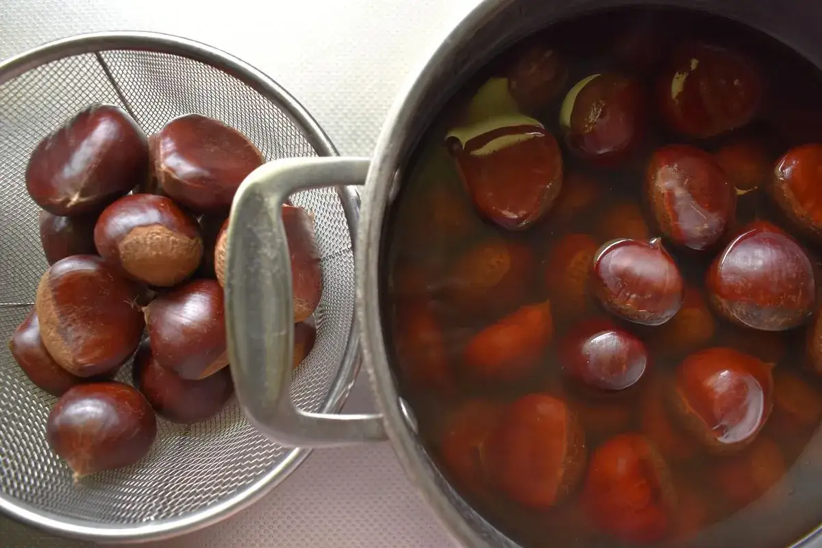 Castagne bollite con buccia in pentola e in scolapasta.